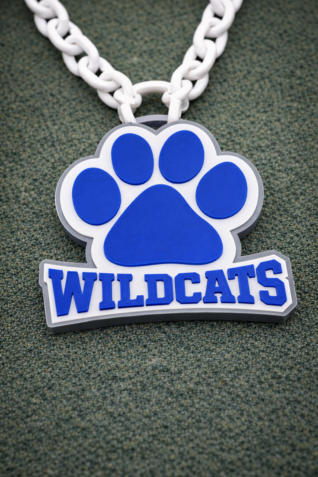 Wilderness Elementary Wildcats — DookieChain Medallion