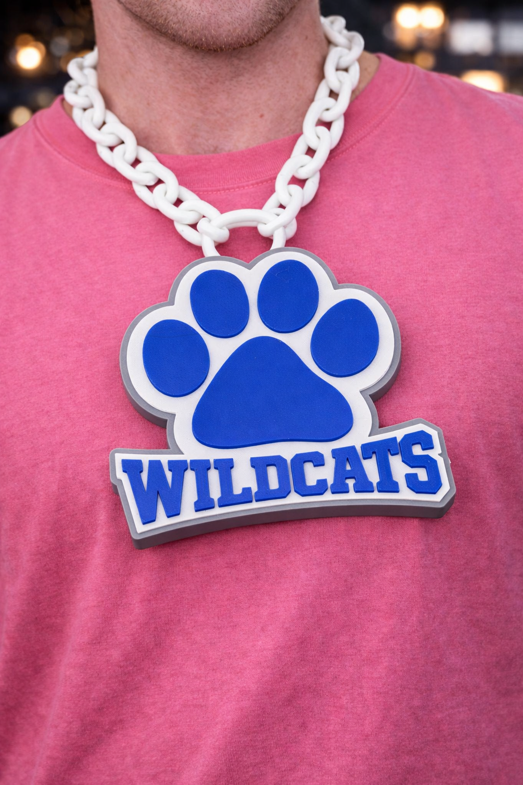 Wilderness Elementary Wildcats — DookieChain Medallion