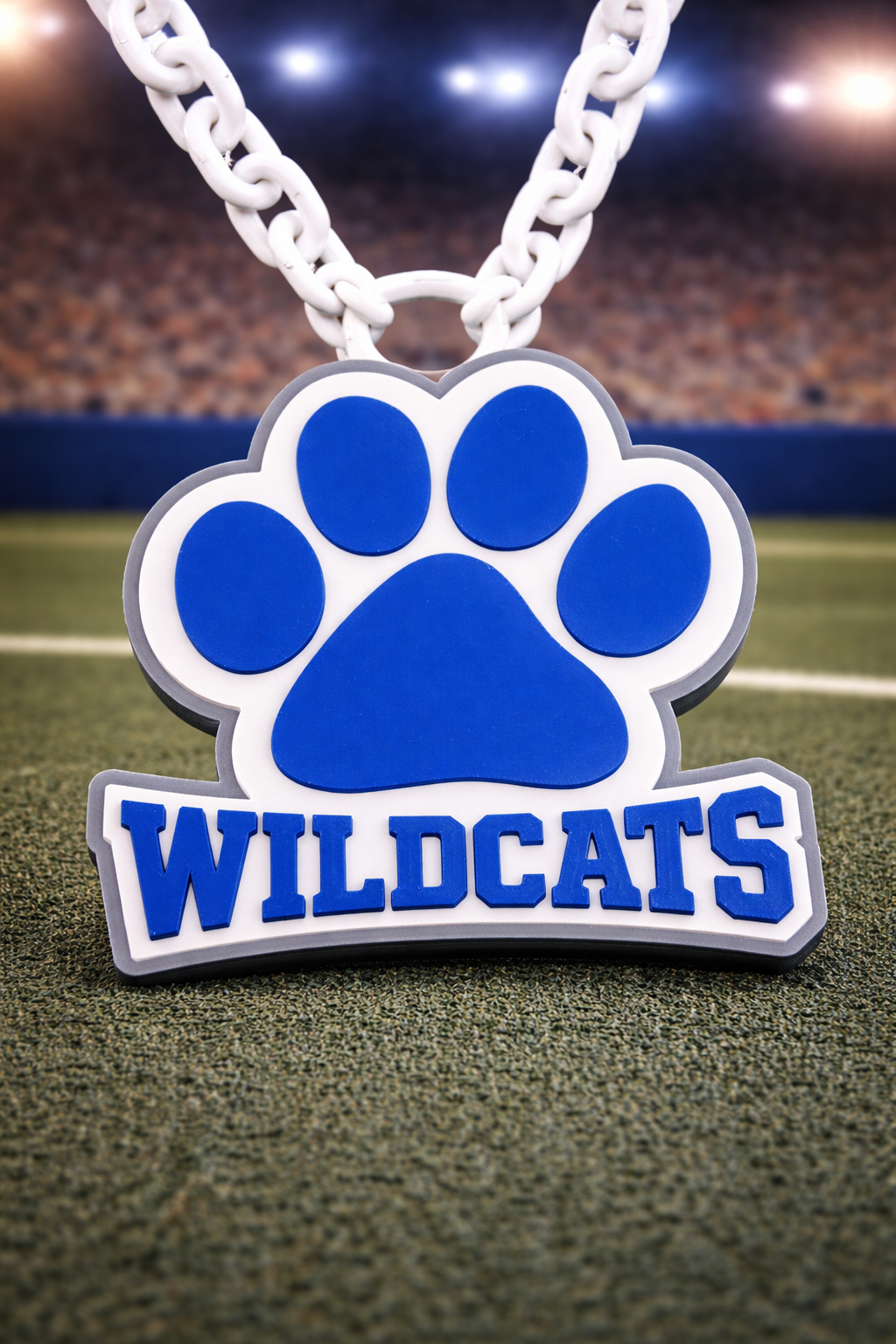 Wilderness Elementary Wildcats — DookieChain Medallion